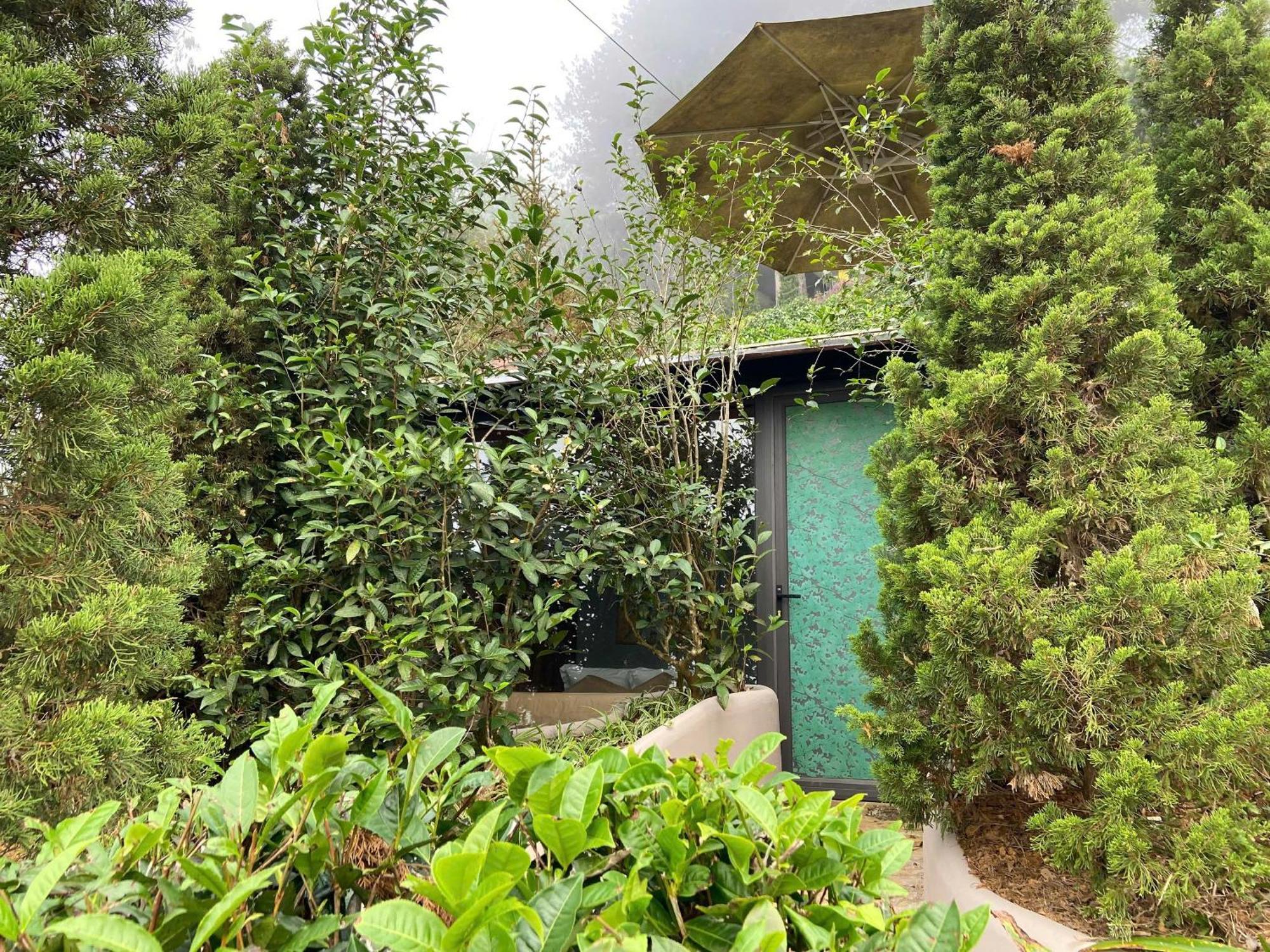 Hippie Home Мок Чау Екстериор снимка